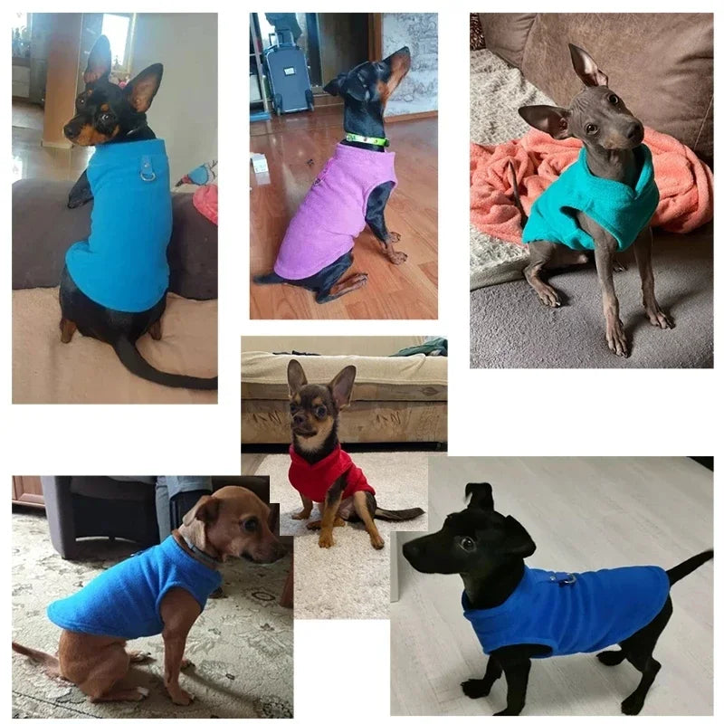 CozyWalk™ Fleece Vest – Warm Pet Jacket with Built‑In Leash Hook