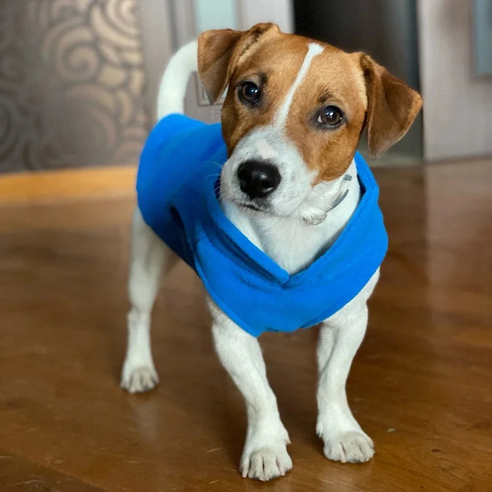 CozyWalk™ Fleece Vest – Warm Pet Jacket with Built‑In Leash Hook